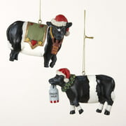 Club Pack of 12 Cows with Santa Hats Christmas Ornaments 3.25"