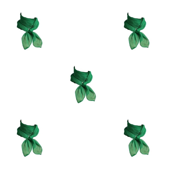 Qarigey Bufanda de gasa Estilo coreano Chica Ornamento Pañuelo pequeño Diseño delgado Pañuelo de mujer para el trabajo Casa Viajes Compras Verde Type2 NO2 Qarigey CBP381168
