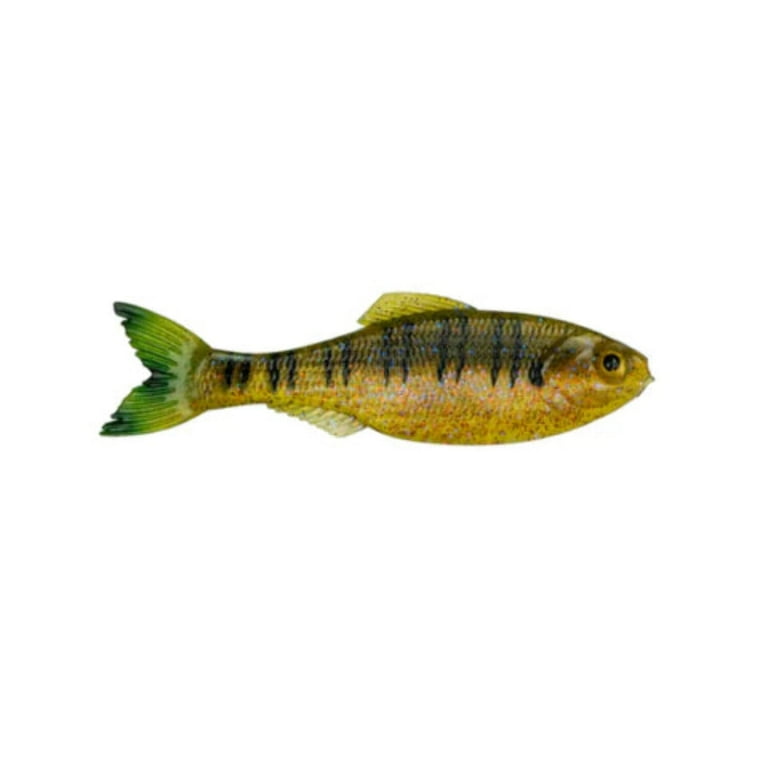 6 Leurres Souples 6th Sense Panorama 3.5" Pro Blue Minnow – Neufs Sous Blister