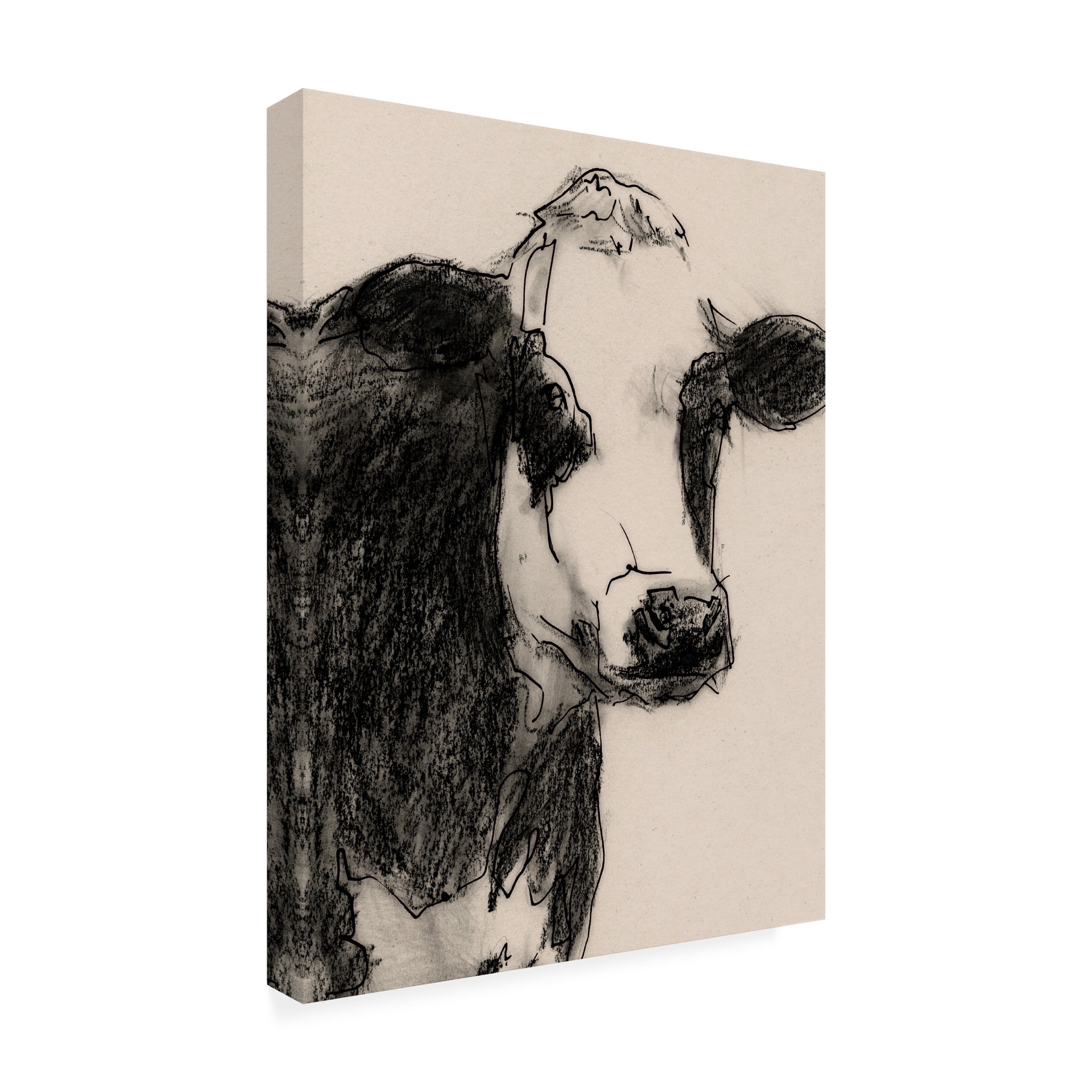 Victoria Barnes 'Cow Portrait Sketch I' Canvas Art