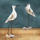 thumbnail image 5 of 2 figuras en miniatura de gaviota de escritorio, estatua de pájaro para decoración de jardín, bricolaje amarillo, 5 of 8