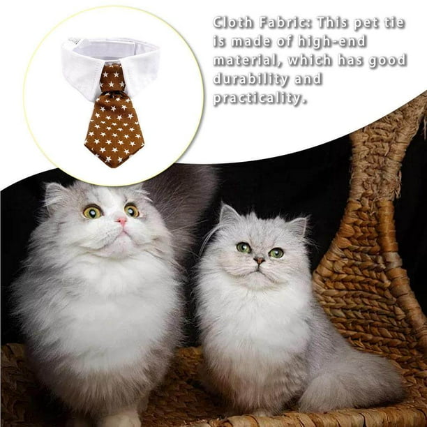 Star grooming clearance apparel