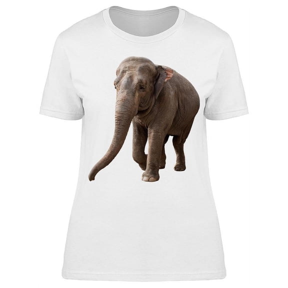 Walking Indian Elephant T-Shirt Women -Image by Shutterstock, Female XX-Large