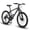 Black & Green, variant on 24-Inch Adult Mountain Bike, 21-Speed, Dual Disc Brakes & Front Suspension, Steel Frame – Black & Orange