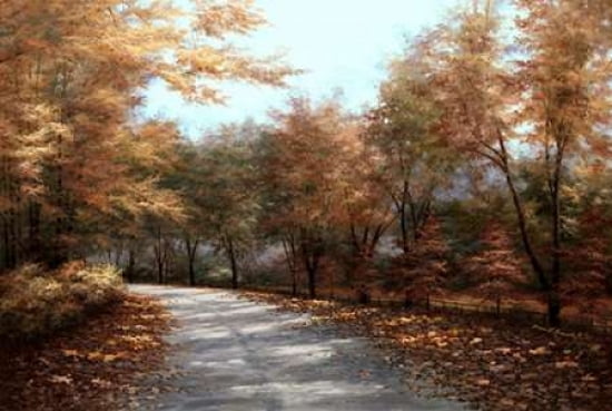 Maple Lane Canvas A