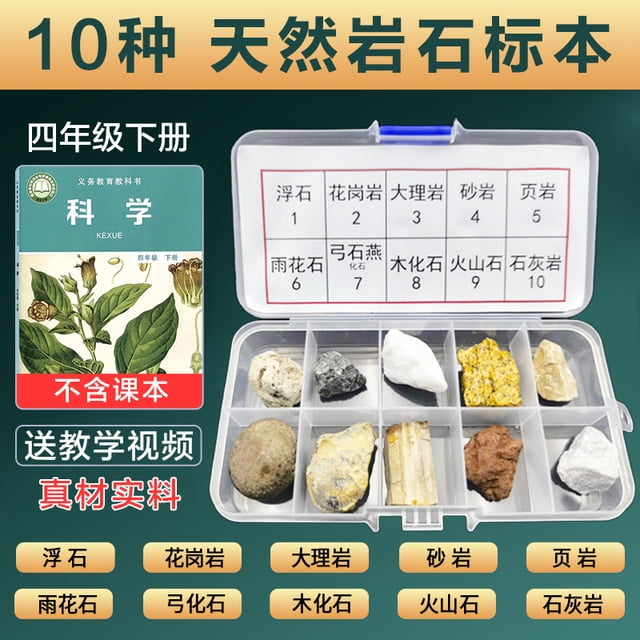 Miangastore 1 Set Kids Geology Kit With Rock Specimens Educational Rock And Mineral Collection For Classroom Scientists Home Learning Includes Granite Limestone Fossils And More