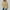 Beige, variant on Lovskoo Waffle Knit Hoodies for Women Dressy Solid Color V Neck Button Down Blouse Fall Winter Long Sleeve Pullover T-shirt Beige