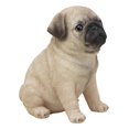 thumbnail image 2 of Ebros Lifelike Sitting Pug Dog Statue 6" Tall Pet Pal Figurine with Glass Eyes, 2 of 8