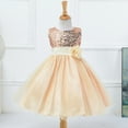 thumbnail image 5 of Gyratedream Little Girls Big Kids Sequins Flower Lace Tulle Dress Prom Gown Princess Dresses, 5 of 5