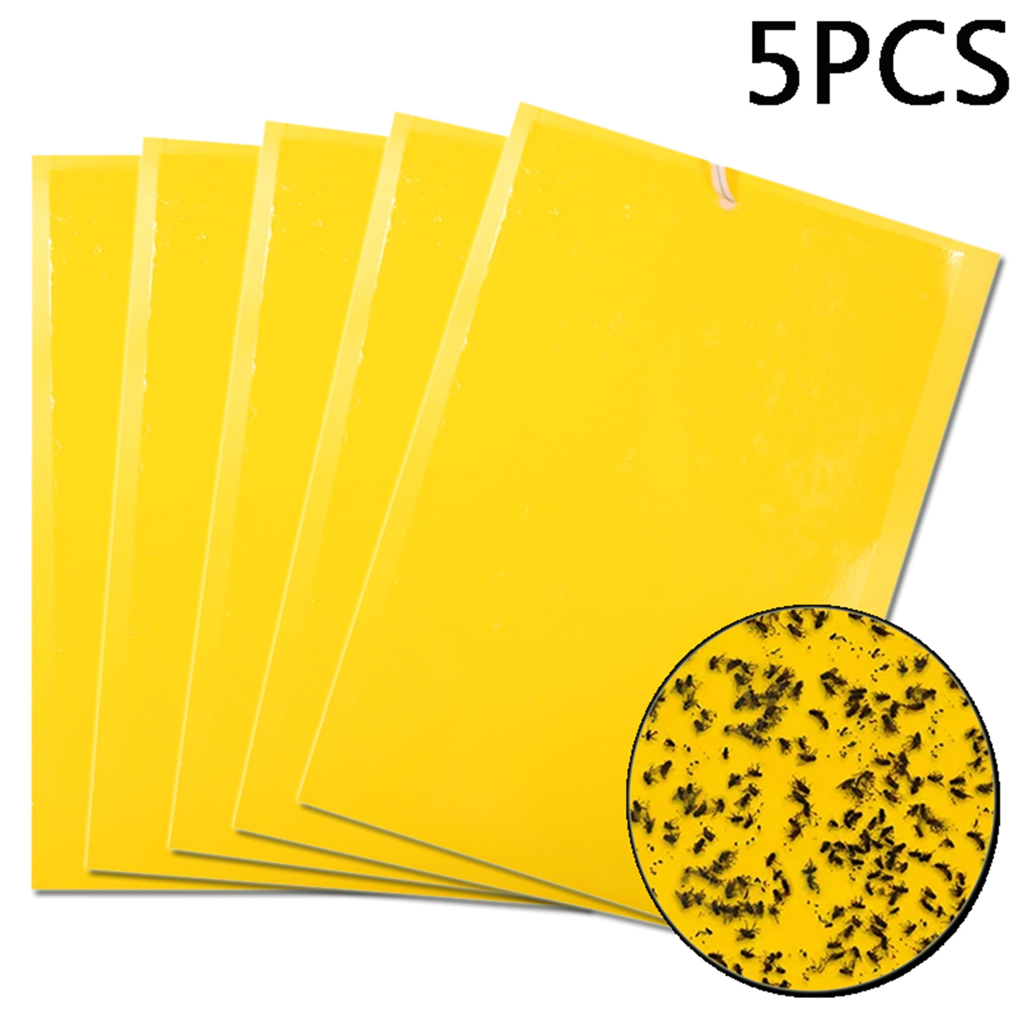 Elbourn 5Pcs Double-sided Yellow Sticky Traps, Bugs Sticky Board, Flying  Insect Catching Control Sticker for Greenhouse 