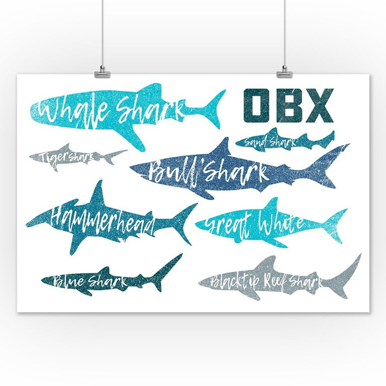 Outer Banks, North Carolina, Shark Name Pattern (12x18 Wall Art