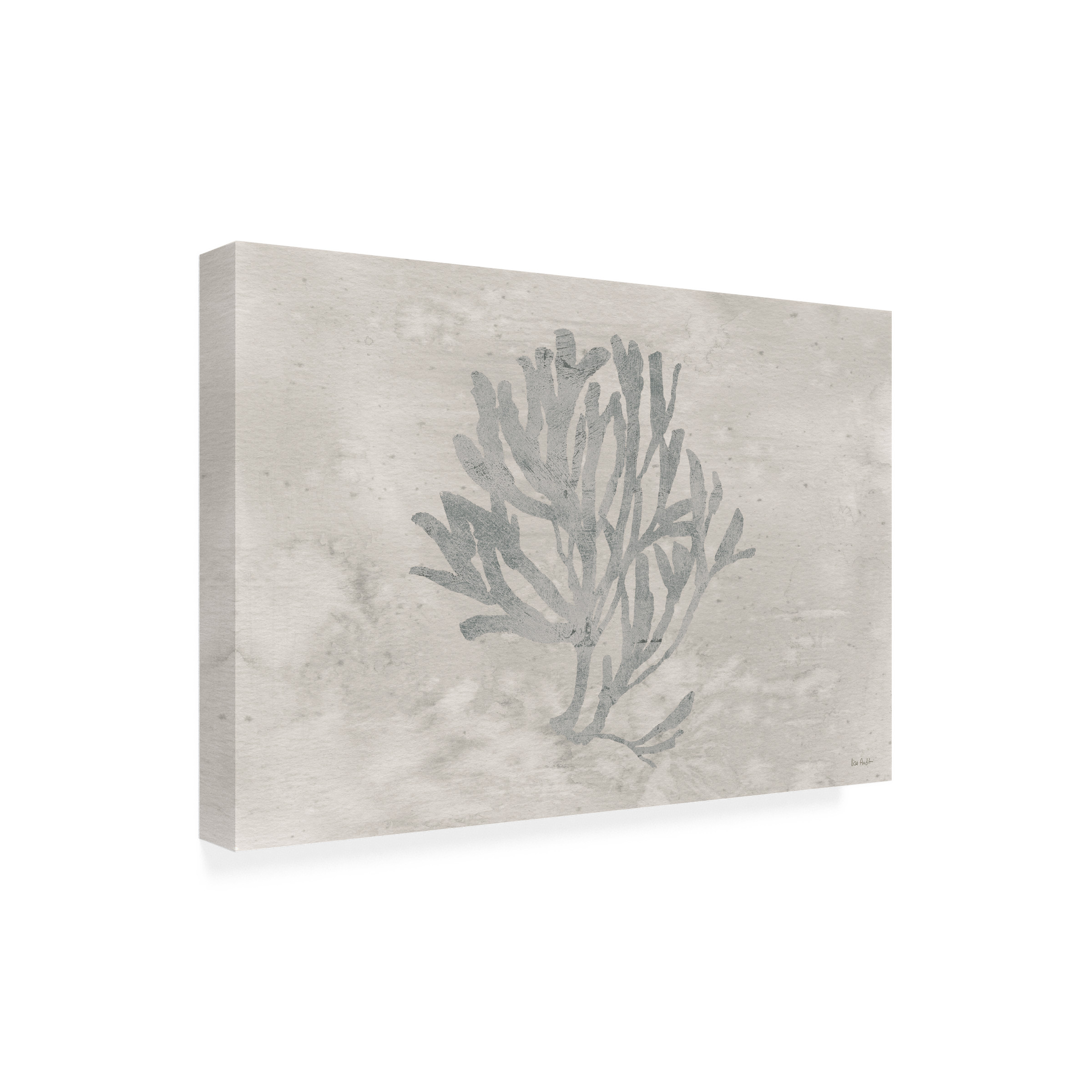 Trademark Fine Art 'Water Coral III' Canvas Art by Lisa Audit