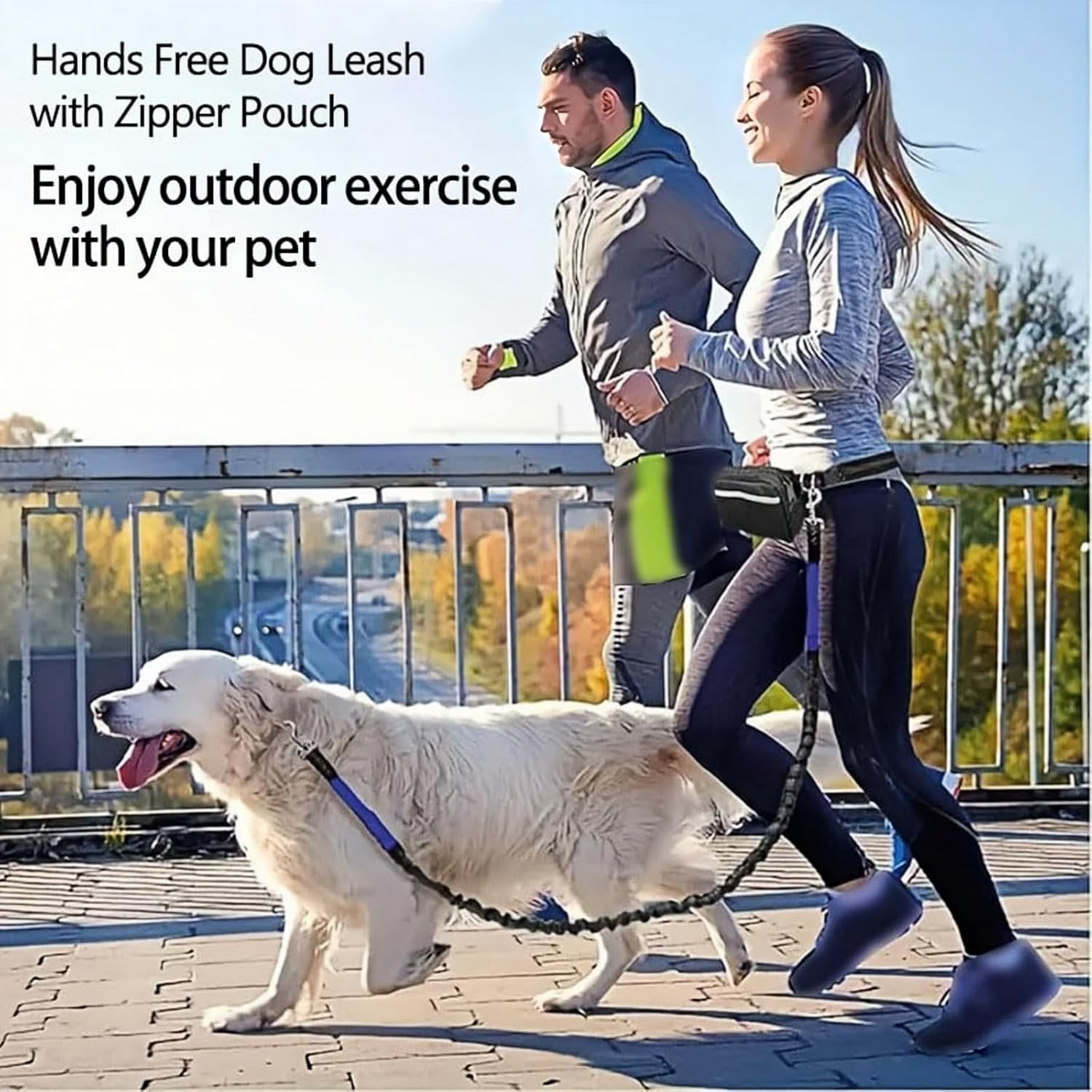 Upliftjoys Dog Leash, Upliftjoys Hands Free Dog Leash with Zipper Pouch, Reflective Design for Outdoor and Daily Walks for Medium and LargeDog (BB)