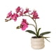 thumbnail image 3 of Centro de mesa con planta artificial en maceta con flores de cerámica Rosa, 3 of 9
