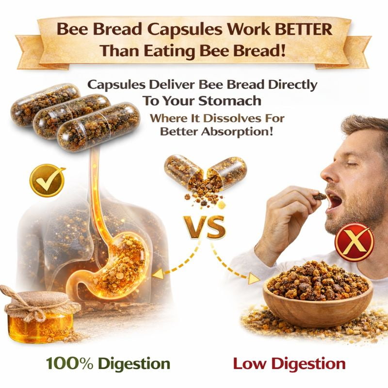 Bee Bread 60 Capsules - Fermented Bee Pollen (Perga) - Natural Dietary Supplement for Men and Women