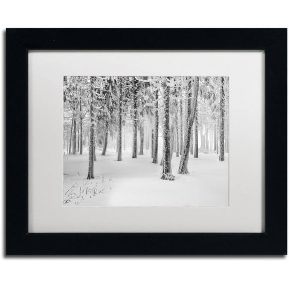 Trademark Fine Art "Frozen World" Canvas Art by Philippe Sainte-Laudy, White Matte, Black Frame