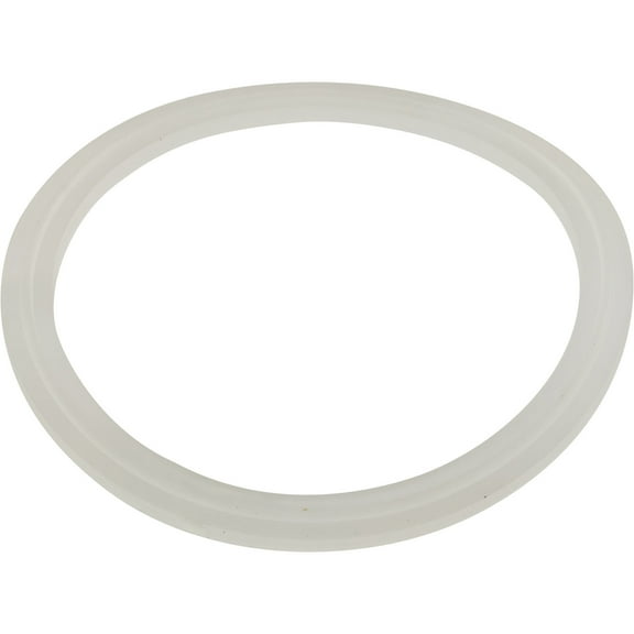 Gasket, Wall Fitting, BWG/HAI AF/Magna/Freedom/Convertassage