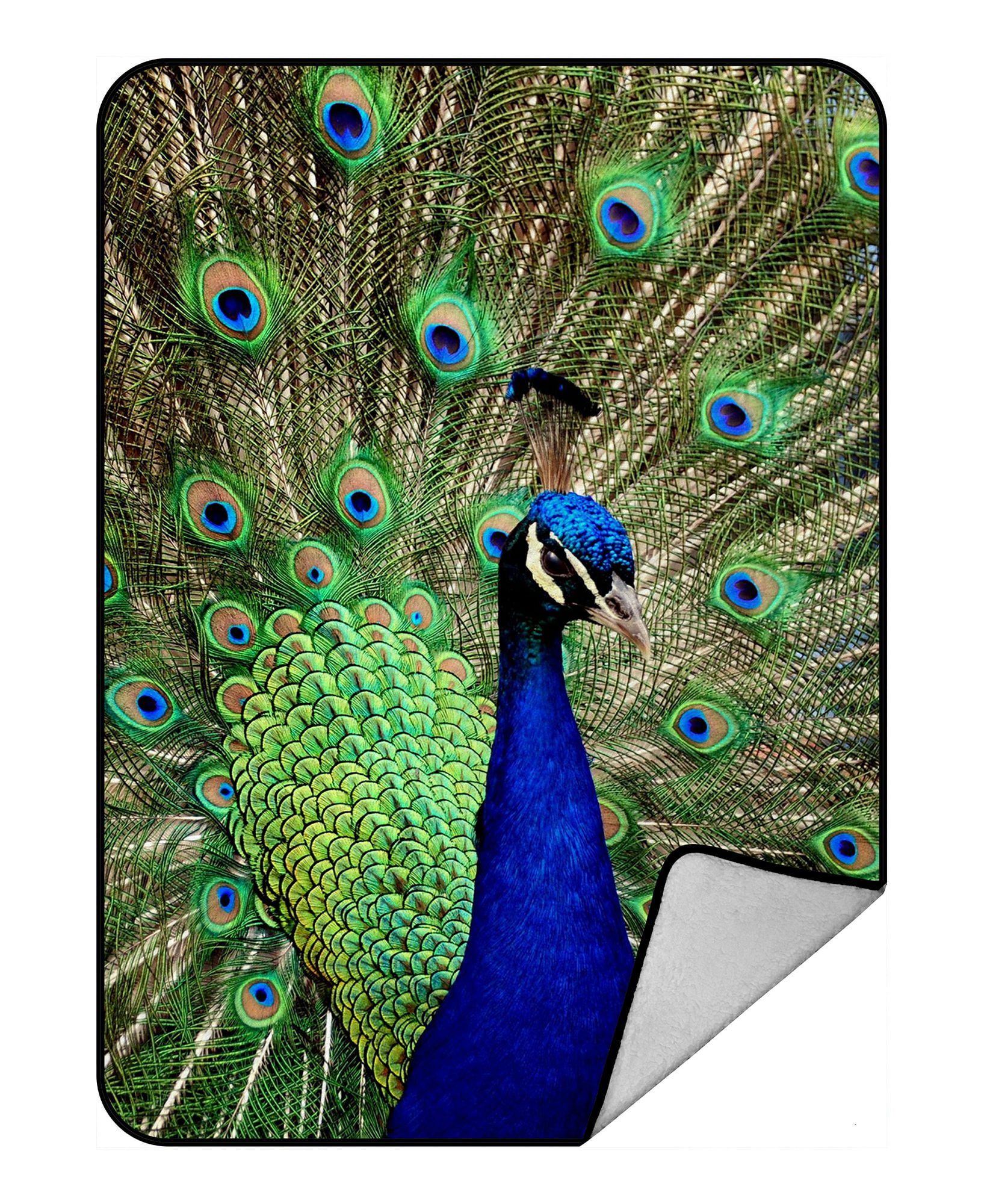 ZKGK Peacock Feathers Blanket Crystal Velvet Front and Lambswool Sherpa