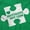 Irish Green, variant on Different Not Less Autism Puzzle Womens Slim Fit Graphic Tee Brisco Brands S