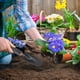 thumbnail image 2 of Pala Estrecha, Herramientas de Jardinería, Pala, Azada, Rastrillo, Pala, Pala Pequeña para Plantar Flores, Herramientas para el Jardín, 2 of 6