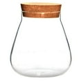 thumbnail image 1 of LEEYNEER Decorative Glass Plant Terrarium with Cork Stopper  Light Brown, 1 of 6
