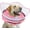 Pink, variant on Elevated Inflatable Dog Cone Collar to Stop Licking, Dog Donut Collar After Surgery, Soft Pet Cone Alternative for Small Medium Large Dogs