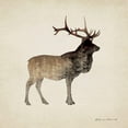thumbnail image 3 of Marrott, Stephanie 15x15 Black Modern Framed Museum Art Print Titled - Forest Elk, 3 of 5