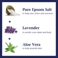 thumbnail image 4 of Jabón líquido corporal Dr. Teal's con lavanda 710 ml, 4 of 8
