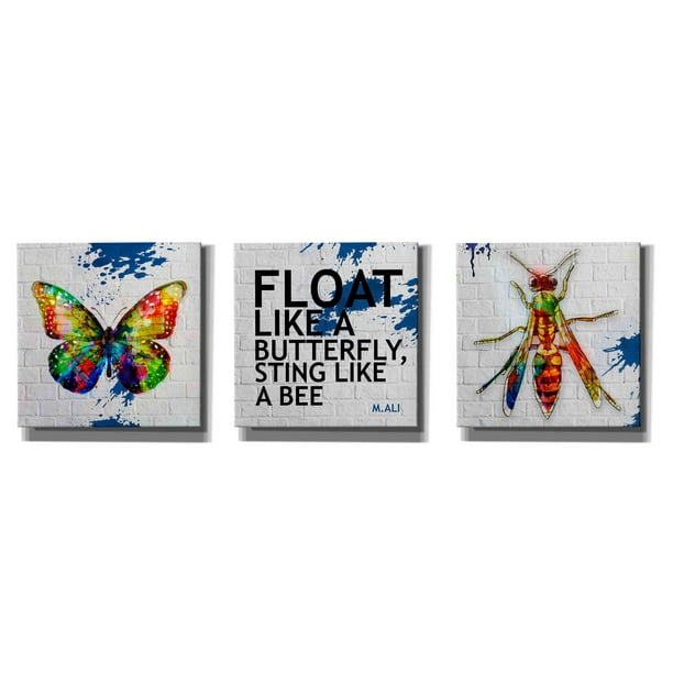 Epic Graffiti Float Like A Butterfly Sting Like A Bee Set Of 3 Canvas Wall Art 36 X 12 Walmart Com Walmart Com