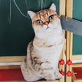 thumbnail image 3 of Welling 50cm Simulation Three-dimension Stuffed Pillow Cute Cat Plush Toy Children Doll, 3 of 10