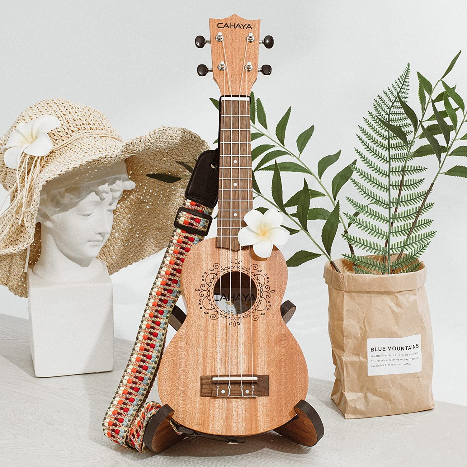 CAHAYA Ukulele 21 Inch Starter Kit Beginner with Gig Bag, Rainbow Strap,  Digital Tuner, for Both Adults and Kids, Mahogany-CY0068 - Walmart.com