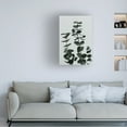 thumbnail image 4 of Canvas Wall Art - Pictufy Studio Iii 'Eucalyptus Natural 11' Wall Art for Living Room, Bedroom, or Office D?cor by Trademark Fine Art - 12 x 19 Inches, 4 of 4