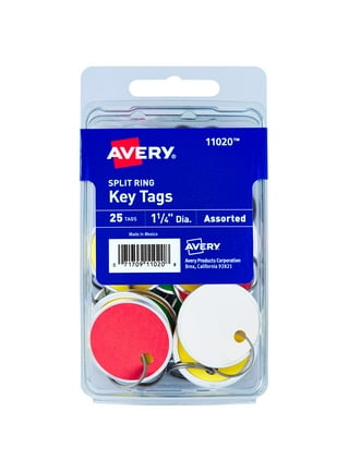 TOSEERY 60pcs Heavy Duty Keychain Key Tags Plastic Colored Labels Key Tags with Labels Key Tags with Ring and Label Window Key Ring Small Gift Belt