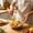 yellow#1035, variant on Silicone Spatula Kitchen Turner, Multicolor Silica Gel Head With Wooden Handle, Heat Resistant Nonstick Cooking and Baking Utensil for Flipping, Scraping and Mixing