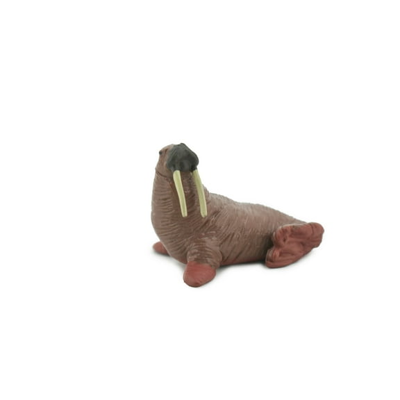 Walrus, Pinniped, Marine Mammal, Museum Quality, Hand Painted, Rubber Animal, Realistic, Toy, Figure, Model, Replica, Kids, Educational, Gift, 2 1/4" CH479 BB153