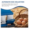 thumbnail image 3 of 3 - hole galvanized steel chicken nesting box con automatic roll - out egg collection, removable tray, weatherproof wall - mount, con perch para hens, easy to clean y assemble, blue, 3 of 7