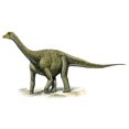 thumbnail image 2 of Titanosaurus indicus  a prehistoric era dinosaur Poster Print, 2 of 2