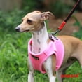 thumbnail image 3 of Puppia arnés suave tipo chaleco para perro talla XXG Puppia PAHA-AH305, 3 of 4