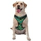 thumbnail image 1 of Balery Green Mosaic Glass Arnés para Perros Grandes Antitirones, Arnés con Correa para Gato, Arnés Tipo Chaleco para Perros Pequeños-Small, 1 of 6