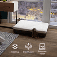 thumbnail image 3 of Ergo-Pedic CannaBliss Calming Memory Foam Pet Bed, Medium, 3 of 5