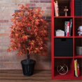 thumbnail image 2 of Vickerman 4' Orange Maple Bush in Basket - TBU3740, 2 of 3