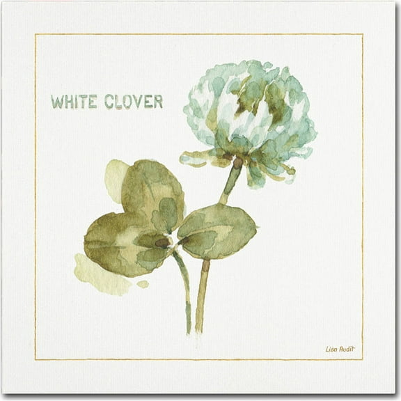 Trademark Fine Art "My Greenhouse Clover" Canvas Art by Lisa Audit