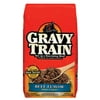 Gravy Train: Beef Dog Food, 8 Lb