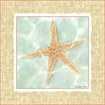 thumbnail image 2 of Zarris, Chariklia 26x26 White Modern Wood Framed Museum Art Print Titled - Ocean Starfish, 2 of 4