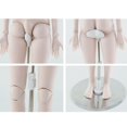 thumbnail image 4 of Soporte para exhibición de muñecas 2x Soporte de Exhibición Ajustable -15 Pulgadas Soporte de Muñeca Accesorios, 4 of 8