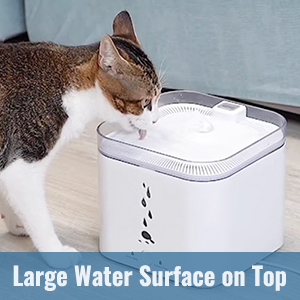 DAWOT Pet Water Fountain, 93oz/2.75L Automatic Cat and Dog Water Fountain Water Dispenser Ultra-Quite Easy to Clean and Assemble
