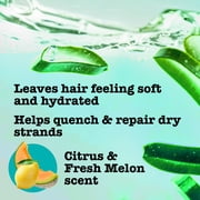 Maui Moisture Heal & Hydrate + Shea Butter Shampoo to Deeply Moisturize Tight Curly Hair, 13 fl oz