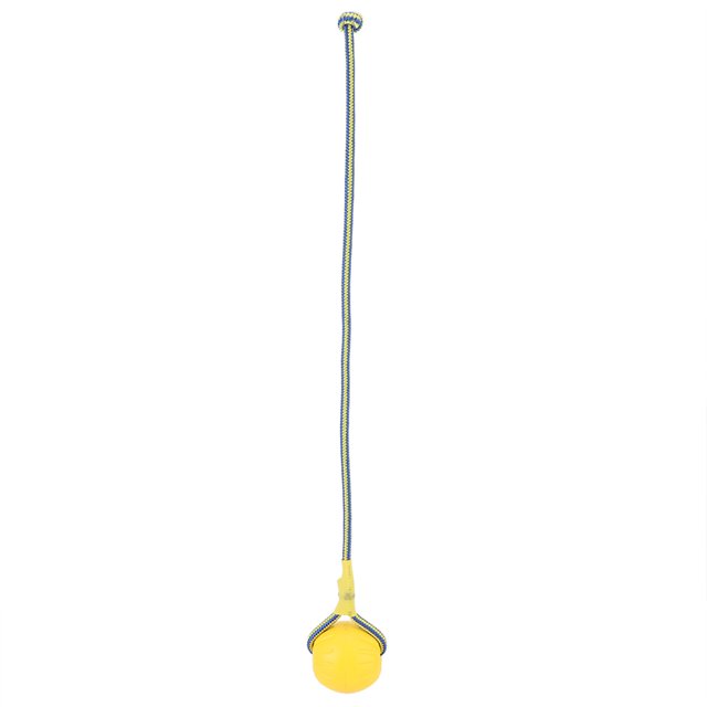 Doggie Disc Ball Small Dogs, Exercise and Reward Tool Ball On Rope Dog Toy Tether Tug Outdoor Dog Toy Rope and Ball Dog Toy for Dog Training, Agility, Pull, and Tug of War