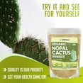XPRS Nutra Organic Nopal Cactus Powder Prickly Pear Supplement Nopal