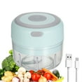 thumbnail image 1 of FlyFlise Electric Mini Garlic Chopper Food Slicer Portable Garlic Grinder Blender Food Processor For Pepper Chili Vegetable Nuts Meat 100ML USB Rechargeable, 1 of 8